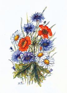 Cornflower, Poppy and Ox-eye Daisy